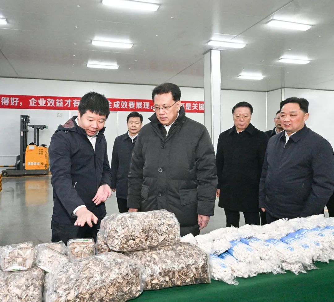 &#112;&#103;&#30005;&#23376;&#27169;&#25311;&#22120;&#40;&#35797;&#29609;&#28216;&#25103;&#41;&#23448;&#26041;&#32593;&#31449;