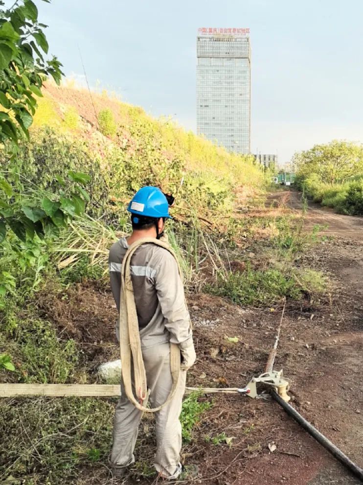 &#112;&#103;&#30005;&#23376;&#27169;&#25311;&#22120;&#40;&#35797;&#29609;&#28216;&#25103;&#41;&#23448;&#26041;&#32593;&#31449;