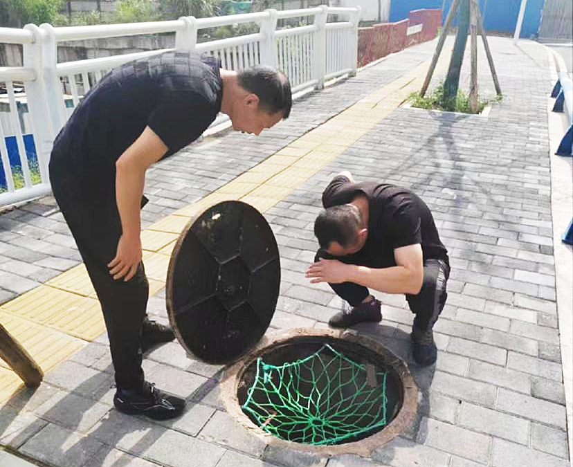 &#112;&#103;&#30005;&#23376;&#27169;&#25311;&#22120;&#40;&#35797;&#29609;&#28216;&#25103;&#41;&#23448;&#26041;&#32593;&#31449;