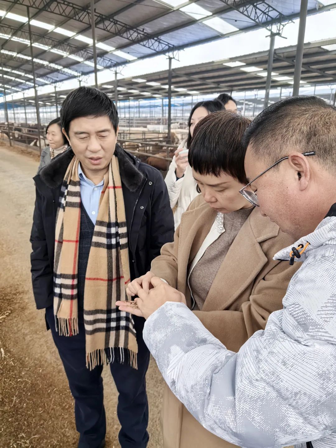 &#112;&#103;&#30005;&#23376;&#27169;&#25311;&#22120;&#40;&#35797;&#29609;&#28216;&#25103;&#41;&#23448;&#26041;&#32593;&#31449;