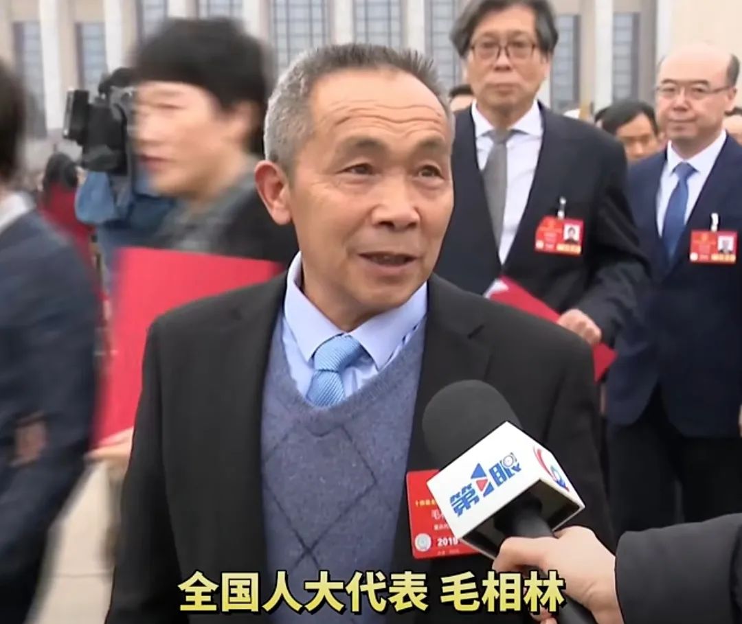 &#112;&#103;&#30005;&#23376;&#27169;&#25311;&#22120;&#40;&#35797;&#29609;&#28216;&#25103;&#41;&#23448;&#26041;&#32593;&#31449;