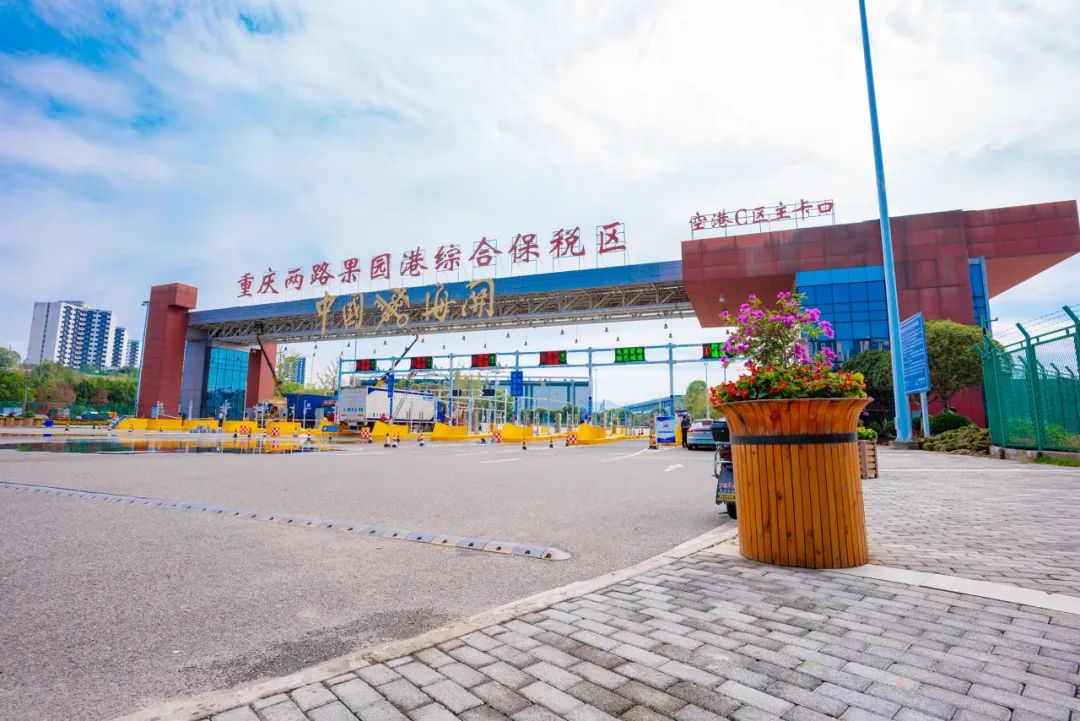 &#112;&#103;&#30005;&#23376;&#27169;&#25311;&#22120;&#40;&#35797;&#29609;&#28216;&#25103;&#41;&#23448;&#26041;&#32593;&#31449;
